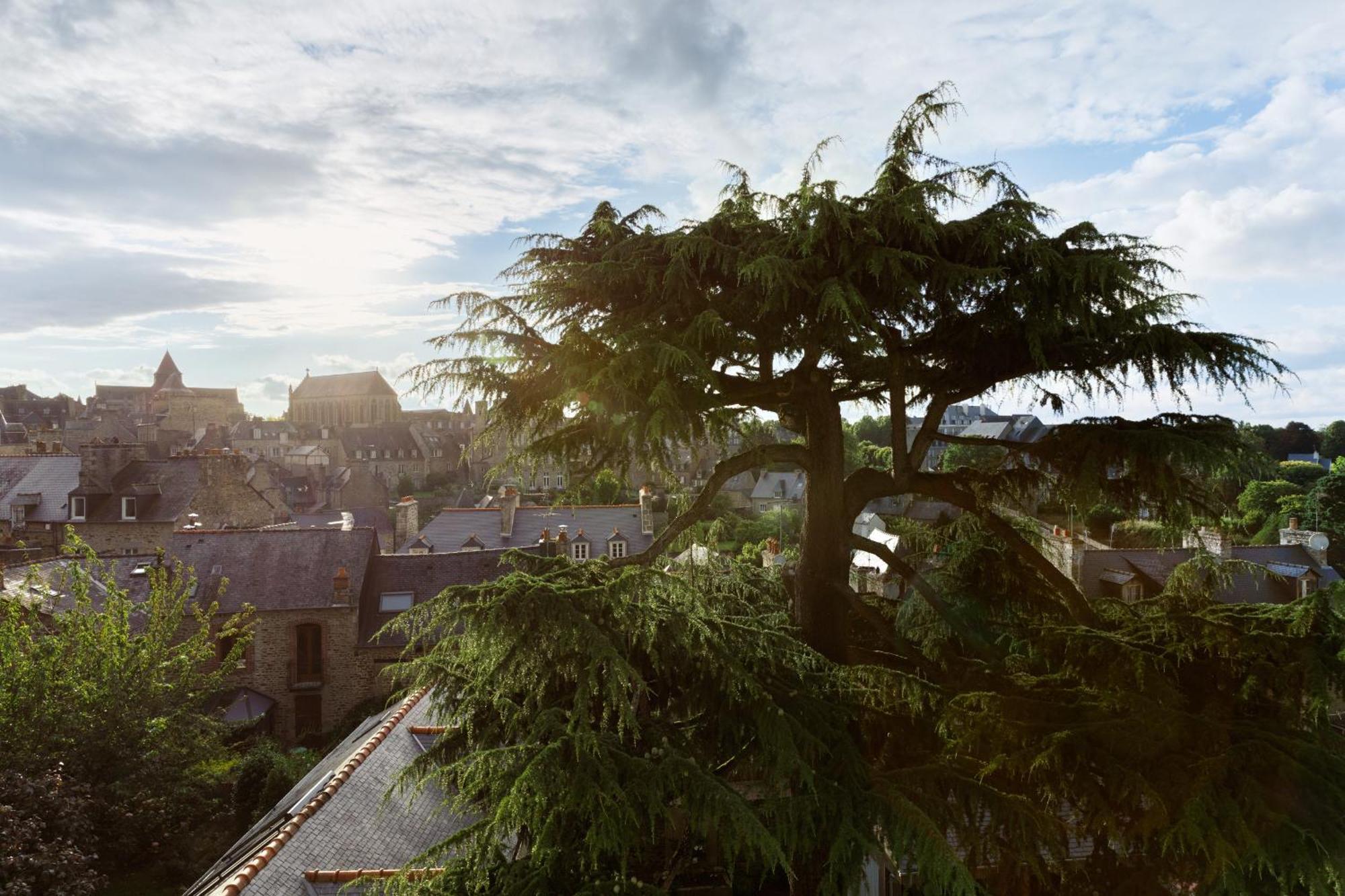 Clos Du Cedre - Chambres D'Hotes D'Exception, Luxury B&B A ดีน็อง ห้อง รูปภาพ